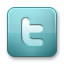 twitter page